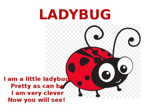 LADYBUG I am a little ladybug Pretty as can be I am very clever Now you will see! 