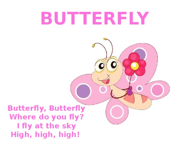 BUTTERFLY Butterfly, Butterfly Where do you fly? I fly at the sky High, high, high! 