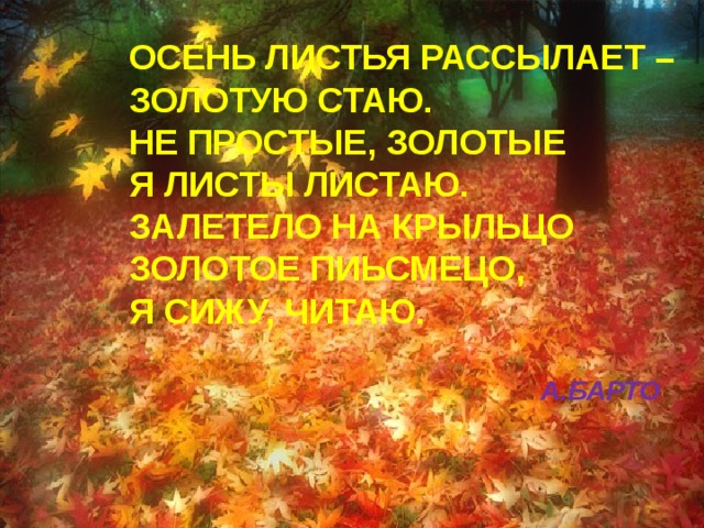 ОСЕНЬ ЛИСТЬЯ РАССЫЛАЕТ – ЗОЛОТУЮ СТАЮ. НЕ ПРОСТЫЕ, ЗОЛОТЫЕ Я ЛИСТЫ ЛИСТАЮ. ЗАЛЕТЕЛО НА КРЫЛЬЦО ЗОЛОТОЕ ПИЬСМЕЦО, Я СИЖУ, ЧИТАЮ.  А.БАРТО 