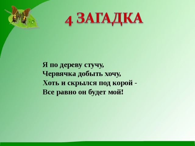 Загадки про живет. 5 Загадок о природе. Загадки про жизнь. 3 Загадки о природе. Я по дереву стучу червячка добыть.