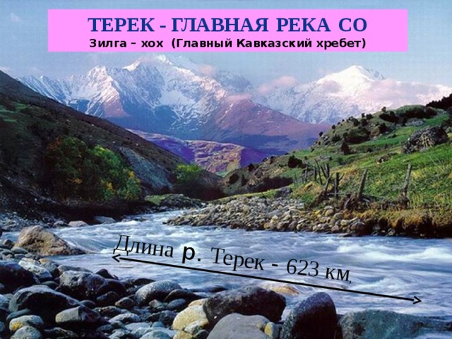 Длина р. Терек  - 623 км , Терек - главная  река  СО Зилга – хох (Главный Кавказский хребет) 