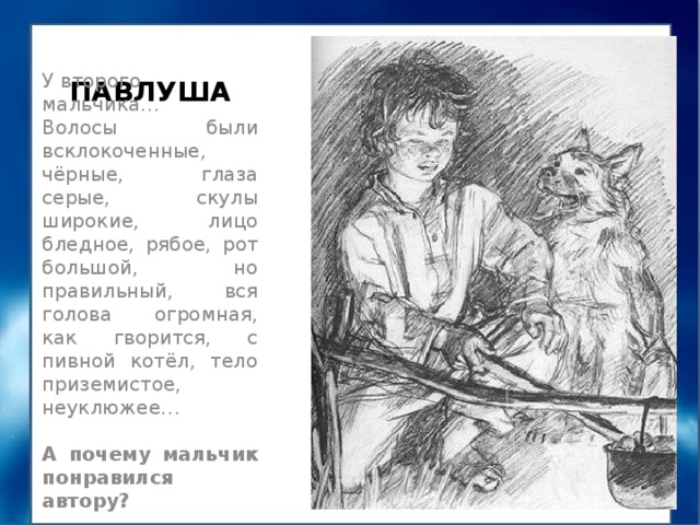 ПАВЛУША У второго мальчика… Волосы были всклокоченные, чёрные, глаза серые, скулы широкие, лицо бледное, рябое, рот большой, но правильный, вся голова огромная, как гворится, с пивной котёл, тело приземистое, неуклюжее… А почему мальчик понравился автору? 