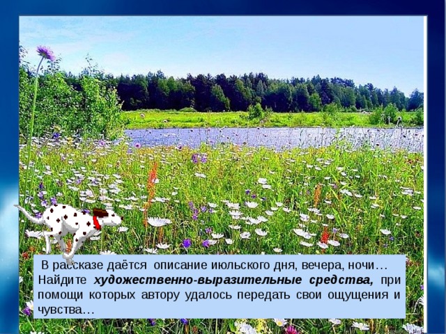  В рассказе даётся описание июльского дня, вечера, ночи… Найдите художественно-выразительные средства, при помощи которых автору удалось передать свои ощущения и чувства… 