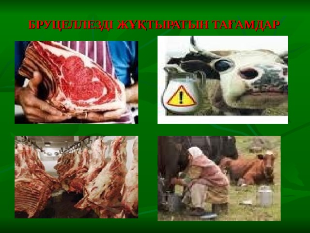 БРУЦЕЛЛЕЗДІ ЖҰҚТЫРАТЫН ТАҒАМДАР 