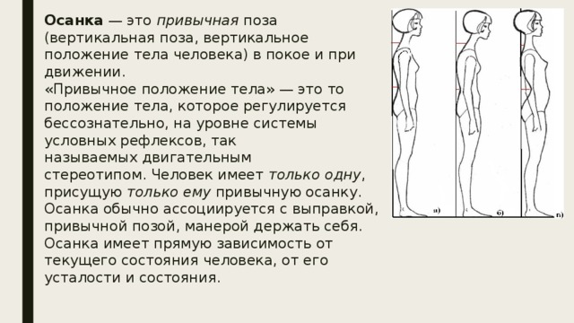 Как определить положение человека. Осанка это привычная поза. Вертикальное положение тела человека. Осанка это привычное положение тела. Привычное вертикальное положение тела человека.