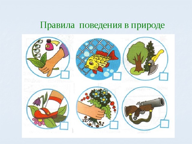 Правила поведения в природе 