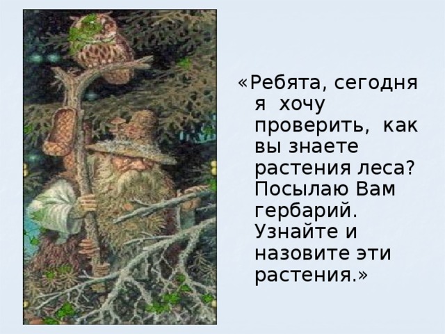 «Ребята, сегодня я хочу проверить, как вы знаете растения леса? Посылаю Вам гербарий. Узнайте и назовите эти растения.» 