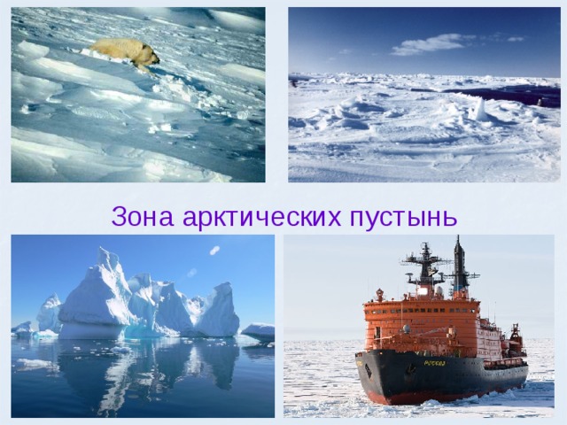 Зона арктических пустынь 