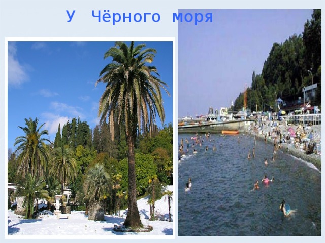 У Чёрного моря 