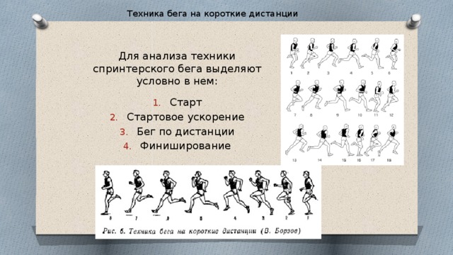 Какая фаза спринтерского бега изображена на картинке