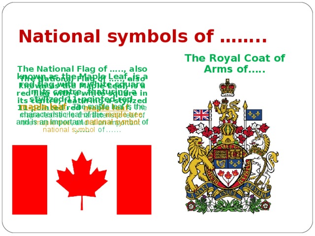 . National symbols of …….. The Royal Coat of Arms of….. The National Flag of ….., also known as the Maple Leaf, is a red flag with a white square in its centre, featuring a stylized 11-pointed red maple leaf . The maple leaf is the characteristic leaf of the maple tree , and is an important national symbol of …… The National Flag of ….., also known as the Maple Leaf, is a red flag with a white square in its centre, featuring a stylized 11-pointed red maple leaf . The maple leaf is the characteristic leaf of the maple tree , and is an important national symbol of …… 