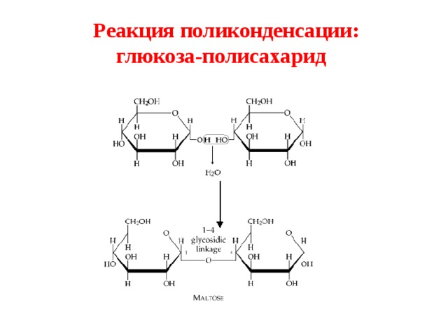  Реакция поликонденсации:  глюкоза-полисахарид   