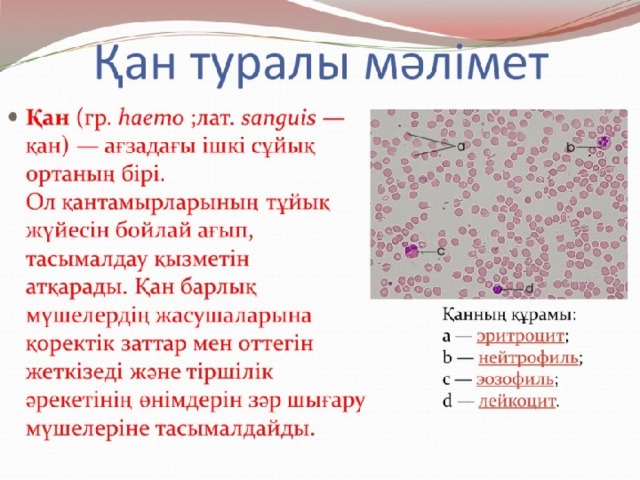 Презентация қан кету