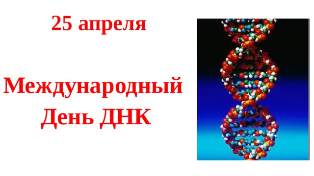 25 апреля   Международный День ДНК 
