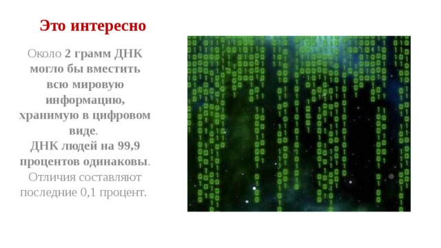 Это интересно Около 2 грамм ДНК могло бы вместить всю мировую информацию, хранимую в цифровом виде .  ДНК людей на 99,9 процентов одинаковы . Отличия составляют последние 0,1 процент. 