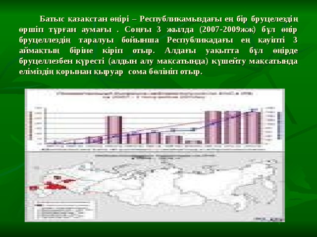  Батыс қазақстан өңірі – Республикамыздағы ең бір бруцелездің өршіп тұрған аумағы . Соңғы 3 жылда (2007-2009жж) бұл өңір бруцеллездің таралуы бойынша Республикадағы ең қауіпті 3 аймақтың біріне кіріп отыр. Алдағы уақытта бұл өңірде бруцеллезбен күресті (алдын алу мақсатында) күшейту мақсатында еліміздің қорынан қыруар сома бөлініп отыр. 