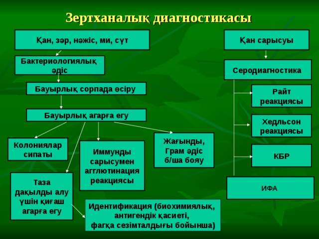 Зертханалық диагностикасы Қан сарысуы Қан, зәр, нәжіс, ми, сүт Бактериологиялық әдіс Серодиагностика Бауырлық сорпада өсіру Райт реакциясы Бауырлық агарға егу Хедльсон реакциясы Жағынды, Грам әдіс б/ша бояу Колониялар сипаты Иммунды сарысумен агглютинация реакциясы КБР Таза дақылды алу үшін қиғаш агарға егу ИФА Идентификация (биохимиялық, антигендік қасиеті, фагқа сезімталдығы бойынша) 