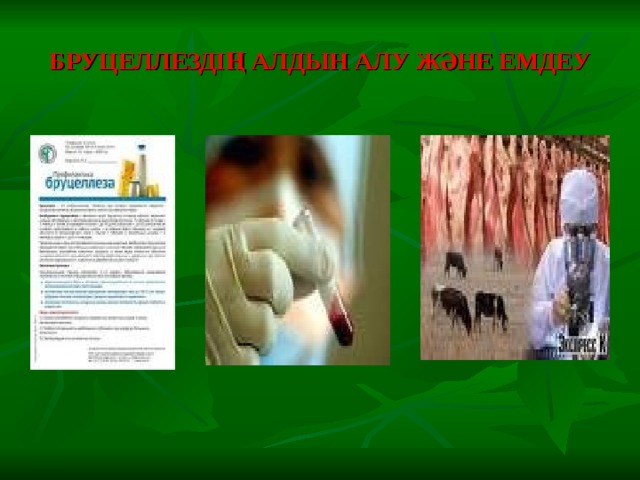 БРУЦЕЛЛЕЗДІҢ АЛДЫН АЛУ ЖӘНЕ ЕМДЕУ 