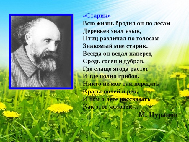 Природа в изображении писателей 20 века