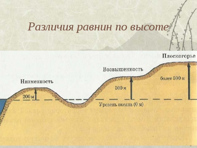 Различия равнин по высоте 