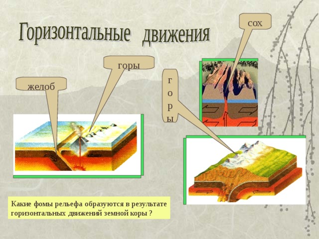 сох горы горы желоб Какие фомы рельефа образуются в результате горизонтальных движений земной коры ? 