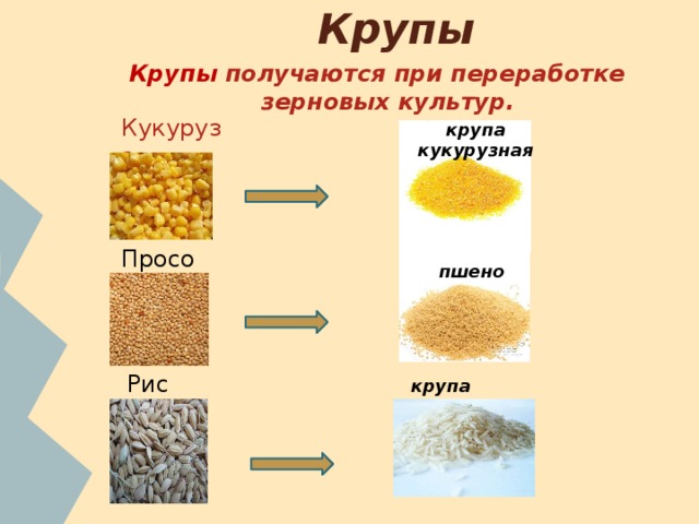 потребитель все о крупах в картинках и схемах вплотную стене, поднимите