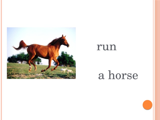 run a horse 