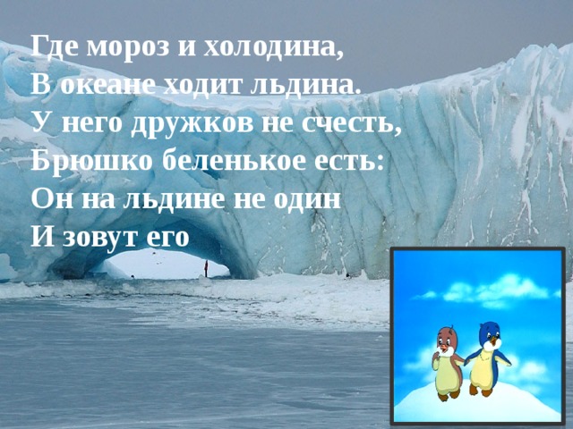 Где мороз и холодина, В океане ходит льдина. У него дружков не счесть, Брюшко беленькое есть: Он на льдине не один И зовут его 