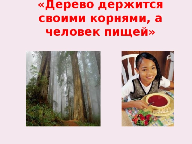 «Дерево держится своими корнями, а человек пищей» 