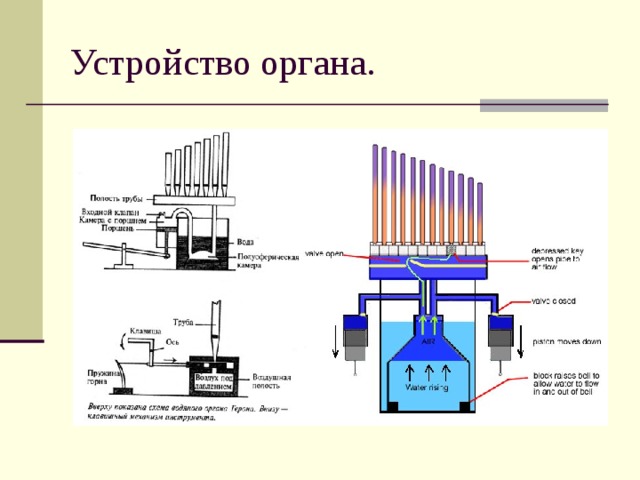 Орган схема музыкального устройства