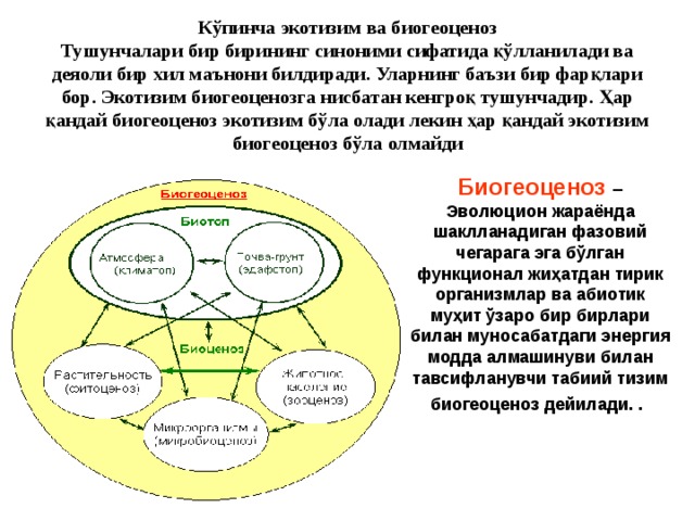 План экскурсия в биогеоценоз