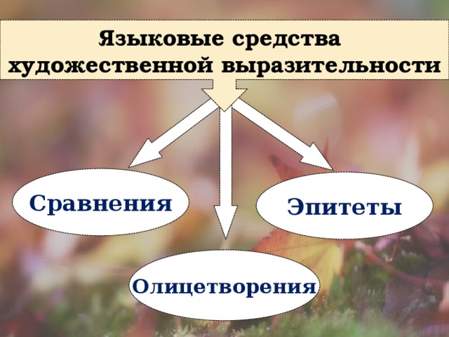 Языковые средства художественной выразительности Сравнения Эпитеты Олицетворения 