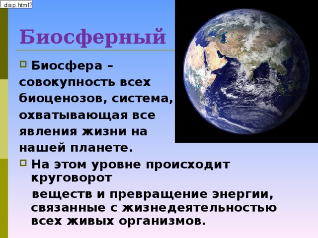 Биосферный  Биосфера – совокупность всех биоценозов, система, охватывающая все явления жизни на нашей планете. На этом уровне происходит круговорот   веществ и превращение энергии, связанные с жизнедеятельностью всех живых организмов.