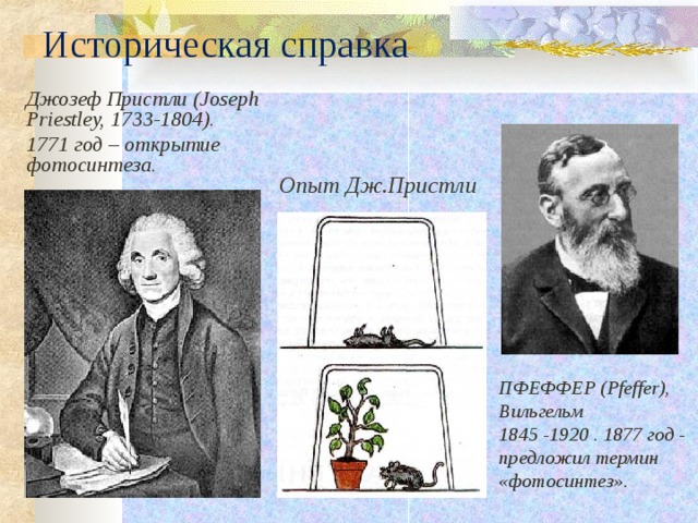 Историческая справка Джозеф Пристли ( Joseph Priestley, 1733-1804) . 1771 год – открытие фотосинтеза. Опыт Дж.Пристли ПФЕФФЕР ( Pfeffer), Вильгельм 1845 -1920 . 1877 год - предложил термин «фотосинтез».