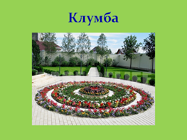 Проект клумба класса