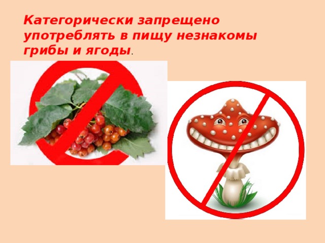 Категорически запрещено употреблять в пищу незнакомы грибы и ягоды . 