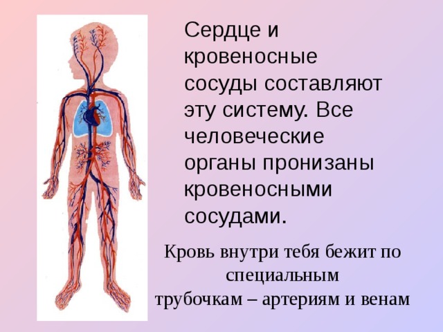 Презентация по окружающему миру