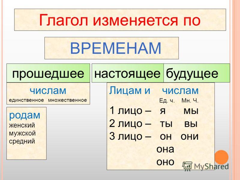 Схема лиц в русском языке