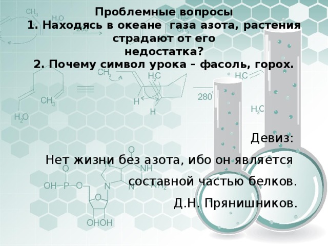 Проблемные вопросы  1. Находясь в океане газа азота, растения страдают от его  недостатка?  2 . Почему символ урока – фасоль, горох.   Девиз: Нет жизни без азота, ибо он является составной частью белков.  Д.Н. Прянишников. 