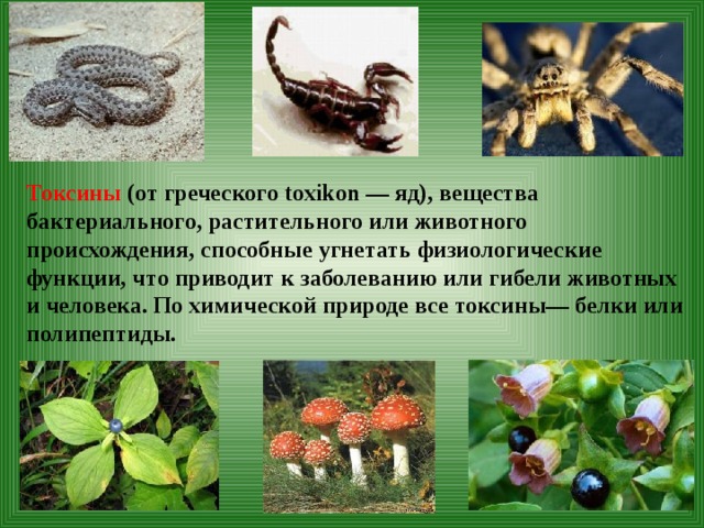 Токсины (от греческого toxikоn — яд), вещества бактериального, растительного или животного происхождения, способные угнетать физиологические функции, что приводит к заболеванию или гибели животных и человека. По химической природе все токсины— белки или полипептиды.
