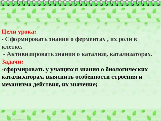 Ферменты биологические катализаторы 10 класс презентация