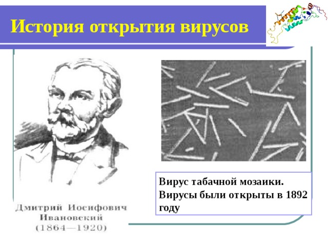 История открытия вирусов Вирус табачной мозаики. Вирусы были открыты в 1892 году