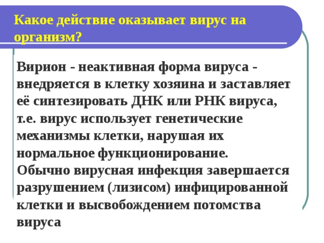 Какое действие оказывает вирус на организм? Вирион - неактивная форма вируса - внедряется в клетку хозяина и заставляет её синтезировать ДНК или РНК вируса, т.е. вирус использует генетические механизмы клетки, нарушая их нормальное функционирование. Обычно вирусная инфекция завершается разрушением (лизисом) инфицированной клетки и высвобождением потомства вируса