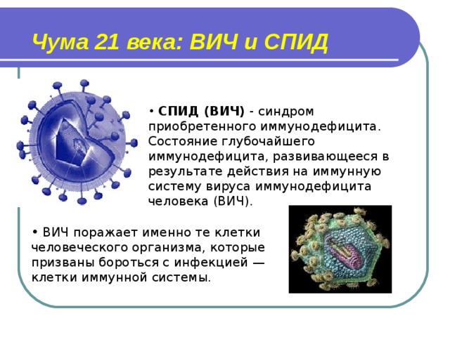 Чума 21 века: ВИЧ и СПИД