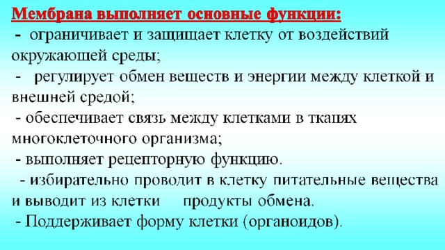 Известно что с помощью методов глубокого замораживания можно консервировать не только ответ. Смотреть фото Известно что с помощью методов глубокого замораживания можно консервировать не только ответ. Смотреть картинку Известно что с помощью методов глубокого замораживания можно консервировать не только ответ. Картинка про Известно что с помощью методов глубокого замораживания можно консервировать не только ответ. Фото Известно что с помощью методов глубокого замораживания можно консервировать не только ответ