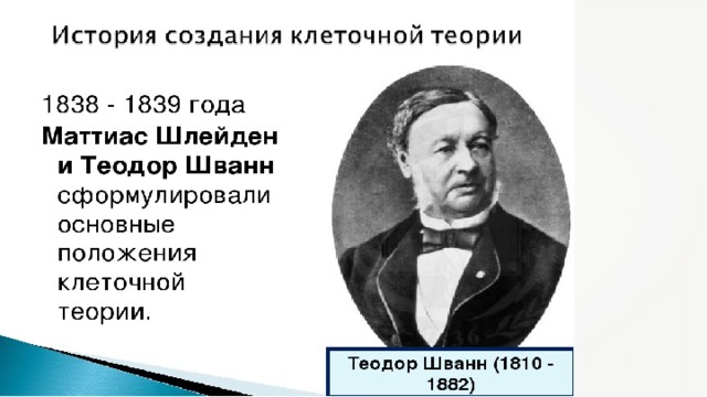Известно что с помощью методов глубокого замораживания можно консервировать не только ответ. Смотреть фото Известно что с помощью методов глубокого замораживания можно консервировать не только ответ. Смотреть картинку Известно что с помощью методов глубокого замораживания можно консервировать не только ответ. Картинка про Известно что с помощью методов глубокого замораживания можно консервировать не только ответ. Фото Известно что с помощью методов глубокого замораживания можно консервировать не только ответ