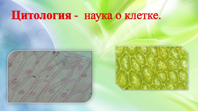 Известно что с помощью методов глубокого замораживания можно консервировать не только ответ. Смотреть фото Известно что с помощью методов глубокого замораживания можно консервировать не только ответ. Смотреть картинку Известно что с помощью методов глубокого замораживания можно консервировать не только ответ. Картинка про Известно что с помощью методов глубокого замораживания можно консервировать не только ответ. Фото Известно что с помощью методов глубокого замораживания можно консервировать не только ответ