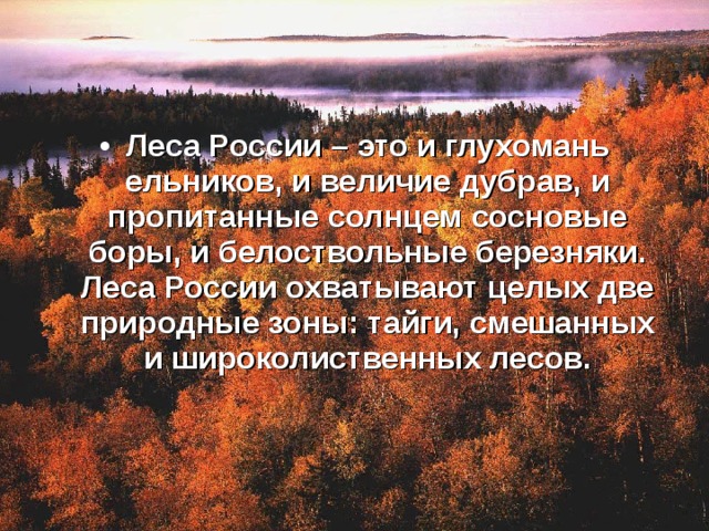Леса России – это и глухомань ельников, и величие дубрав, и пропитанные солнцем сосновые боры, и белоствольные березняки. Леса России охватывают целых две природные зоны: тайги, смешанных и широколиственных лесов. 