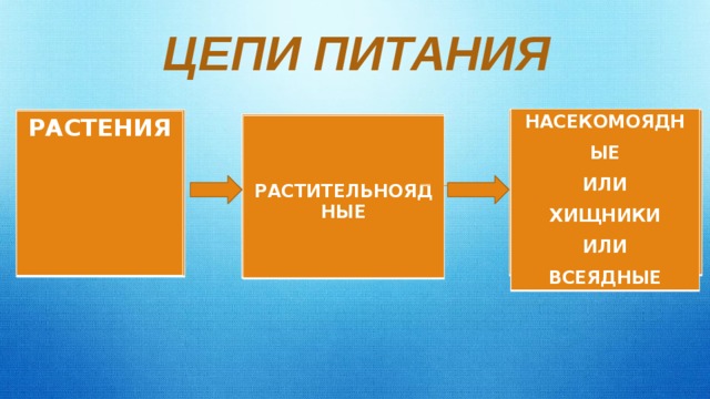 Цепи питания 3 класс презентация