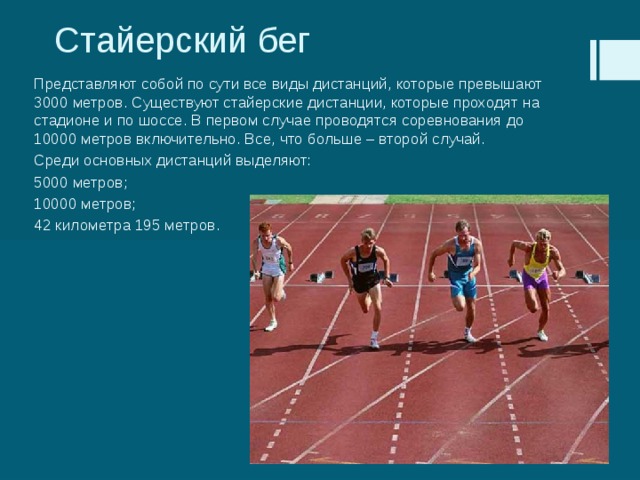 Регулярные тренинги стайерских дистанций развивают
